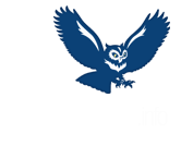 Logo van Matras.info. Illustratie van uil in de nacht