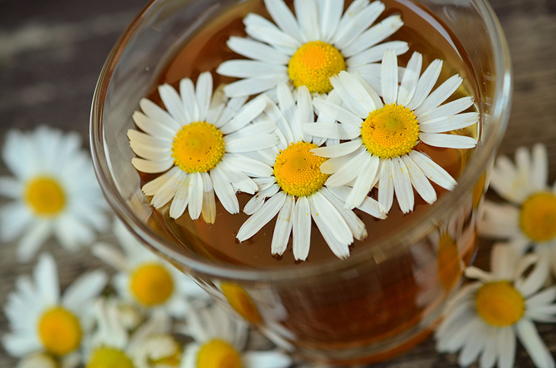 Superfood en slapen Kamille thee werkt slaapbevorderend