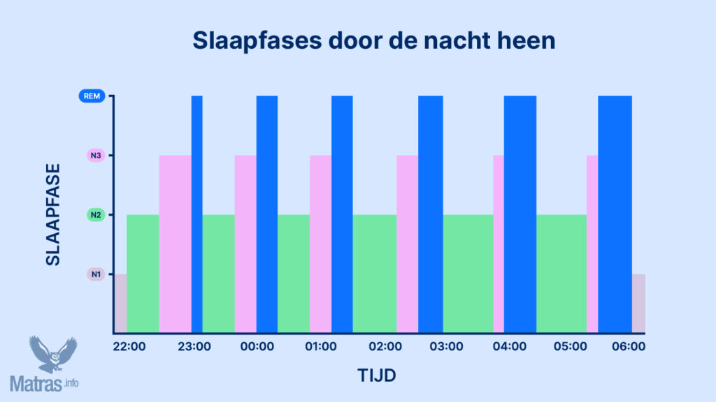 De verdeling van de slaapfases door de jaren heen
